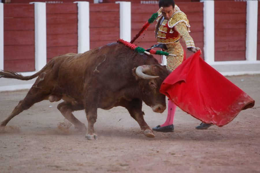 Toros en Zamora