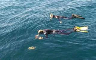 La colaboración entre Cemma, Acuario y Xunta permite que otra tortuga vuelva a ser libre
