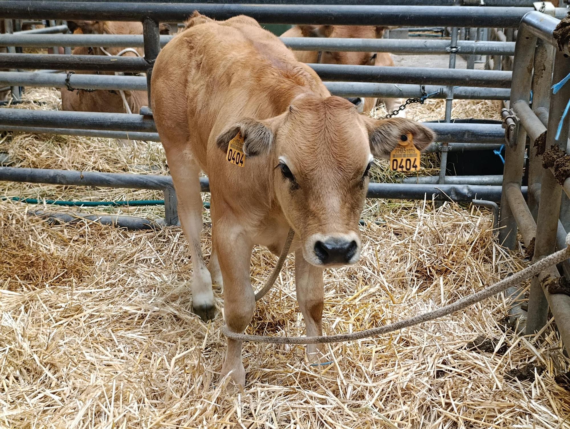 Arranca Agrosiero en La Pola