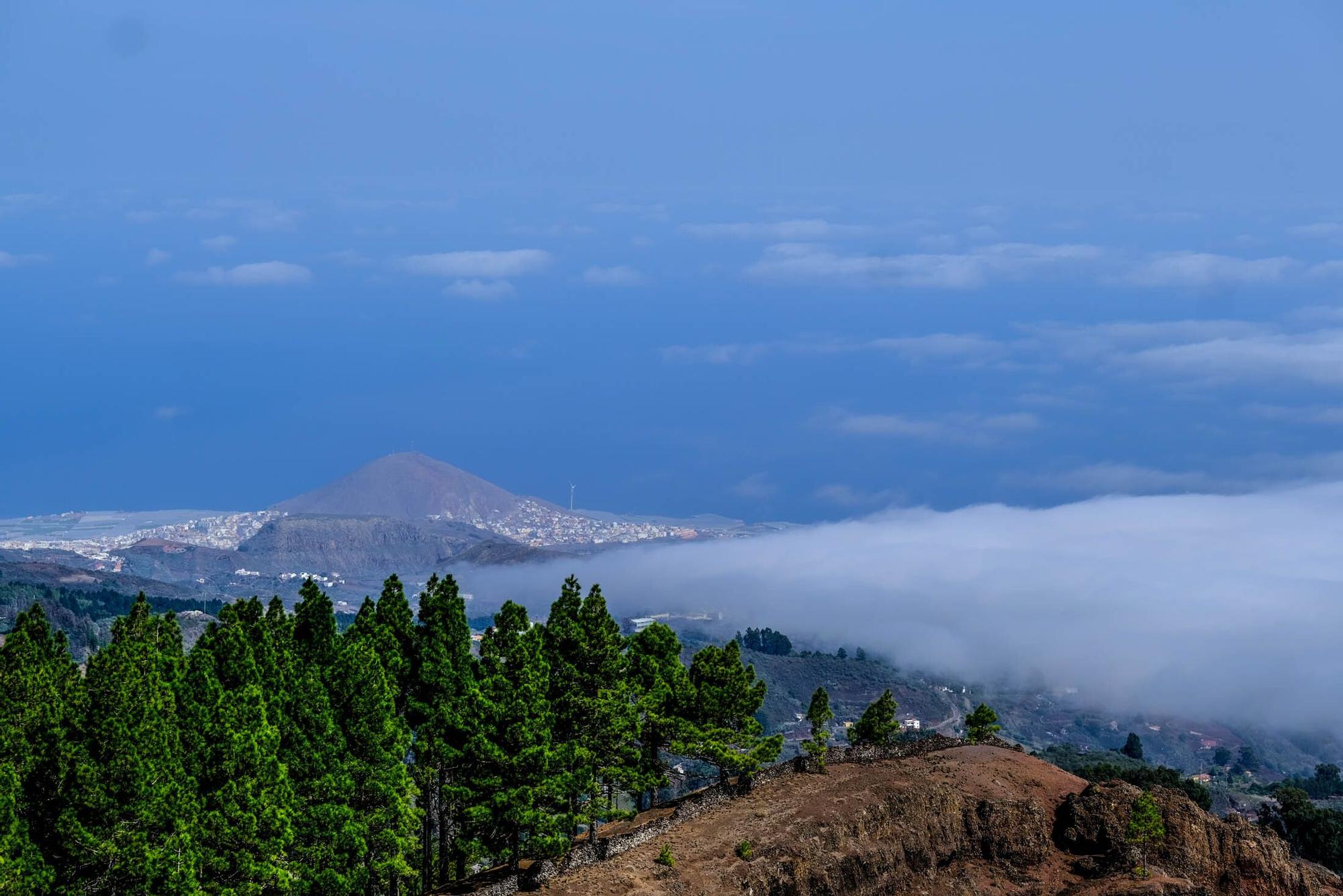 Estado de las presas en Gran Canaria