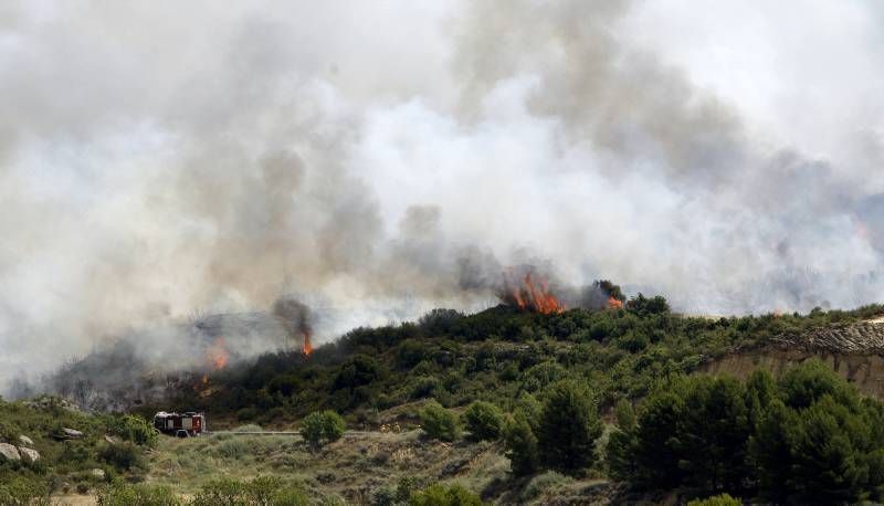 Fotogalería del incendio en el término de Luna en las Cinco Villas