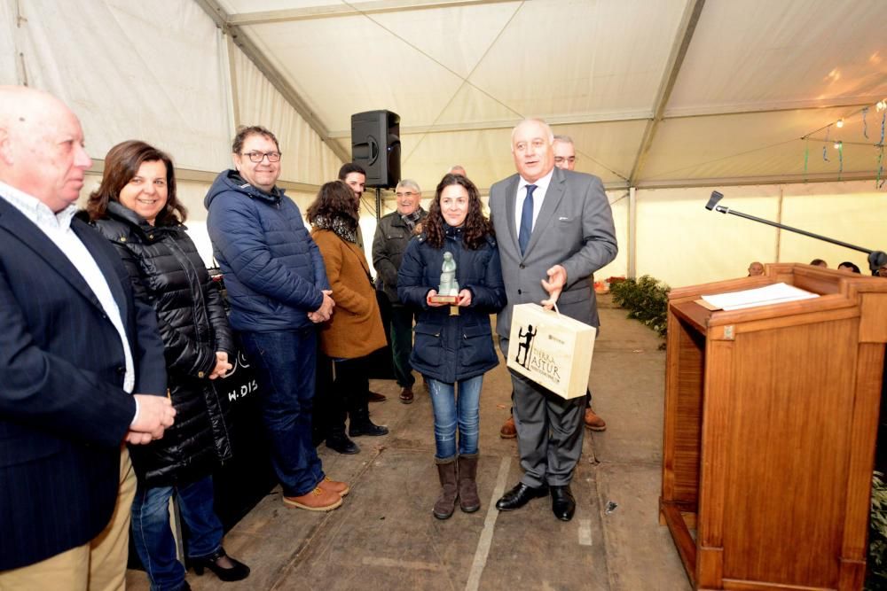 XXVII Certamen de Queso de Afuega'l Pitu en Morcín