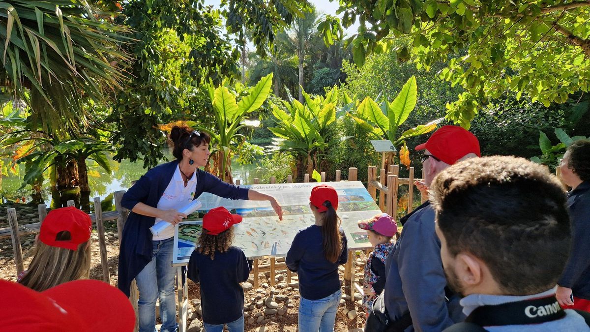 Una de las visitas familiares realizadas en el Palmétum.