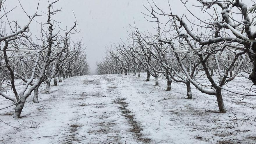 Campos nevados en Calatorao