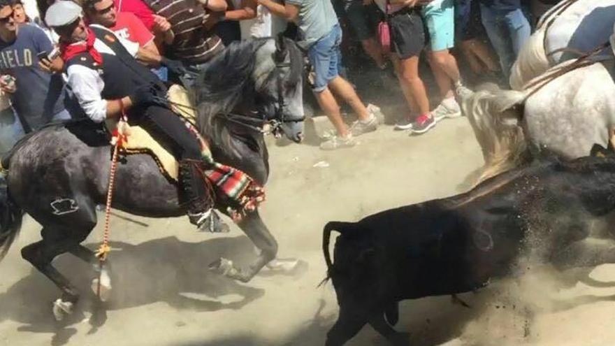 Cornean a un caballo en la quinta Entrada de toros de Segorbe