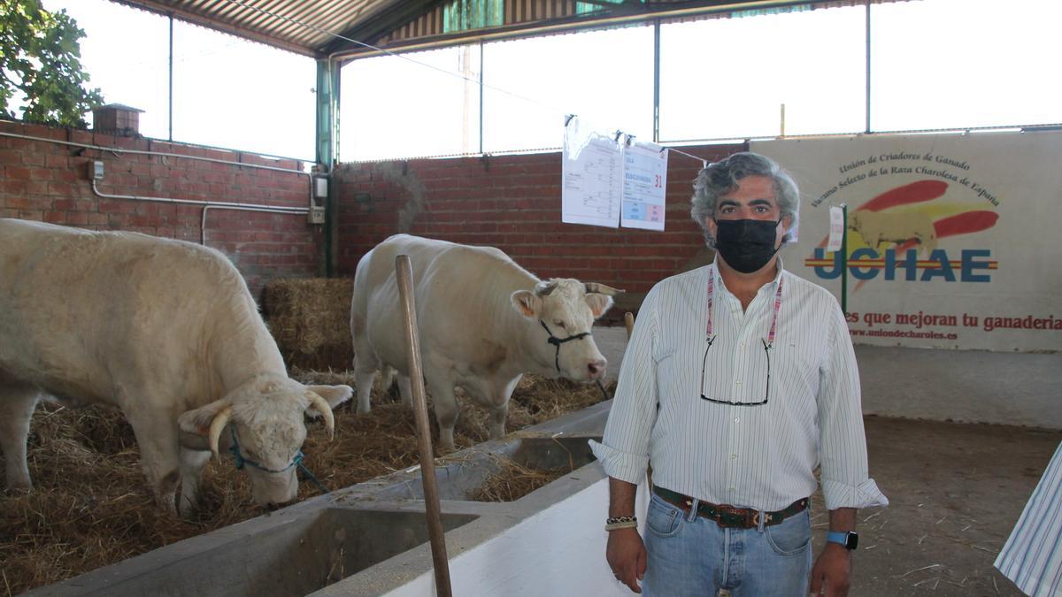 Jacinto Rodríguez Suárez-Barcena, director técnico veterinario, en la nave de Uchae en la Feria de Zafra.