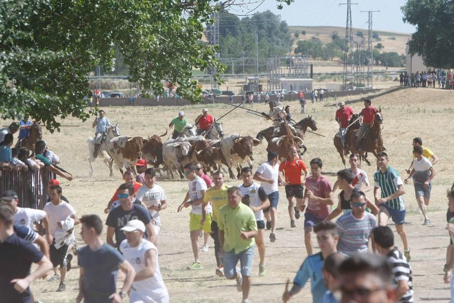 Fiestas en Zamora: Segudos espantes de Fuentesaúco