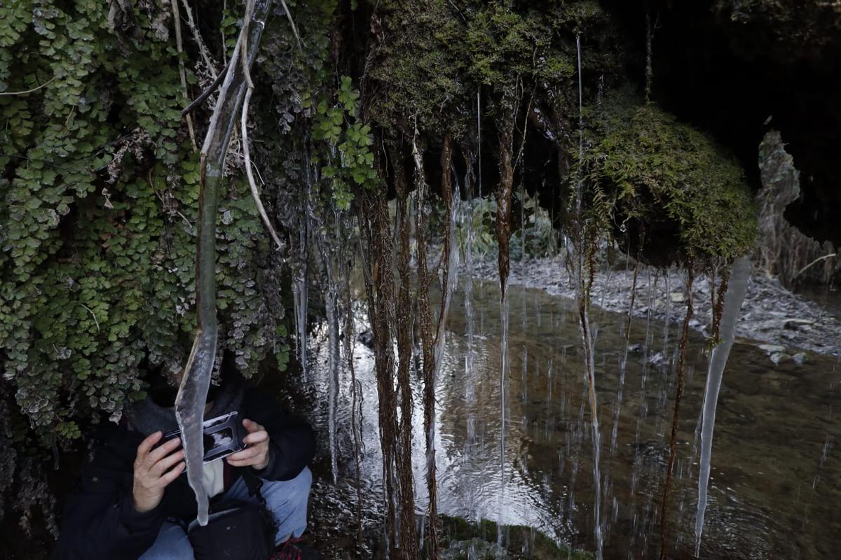 Mañana de frío y hielo en la sierra de Mariola Mañana de frío y hielo en la sierra de Mariola