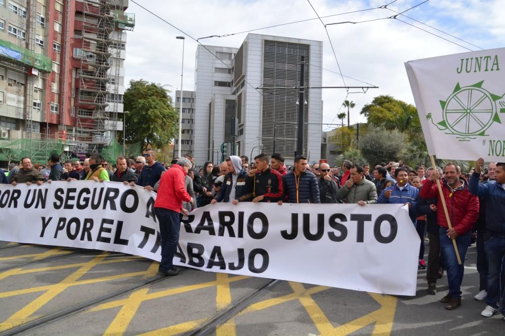 Manifestación en Murcia de los agricultores