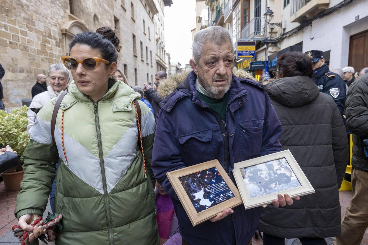 Antonio Hernández, de 71 años, va a las 'Beneïdes' para bendecir las fotografías de sus perros fallecidos: "Eran mi familia".