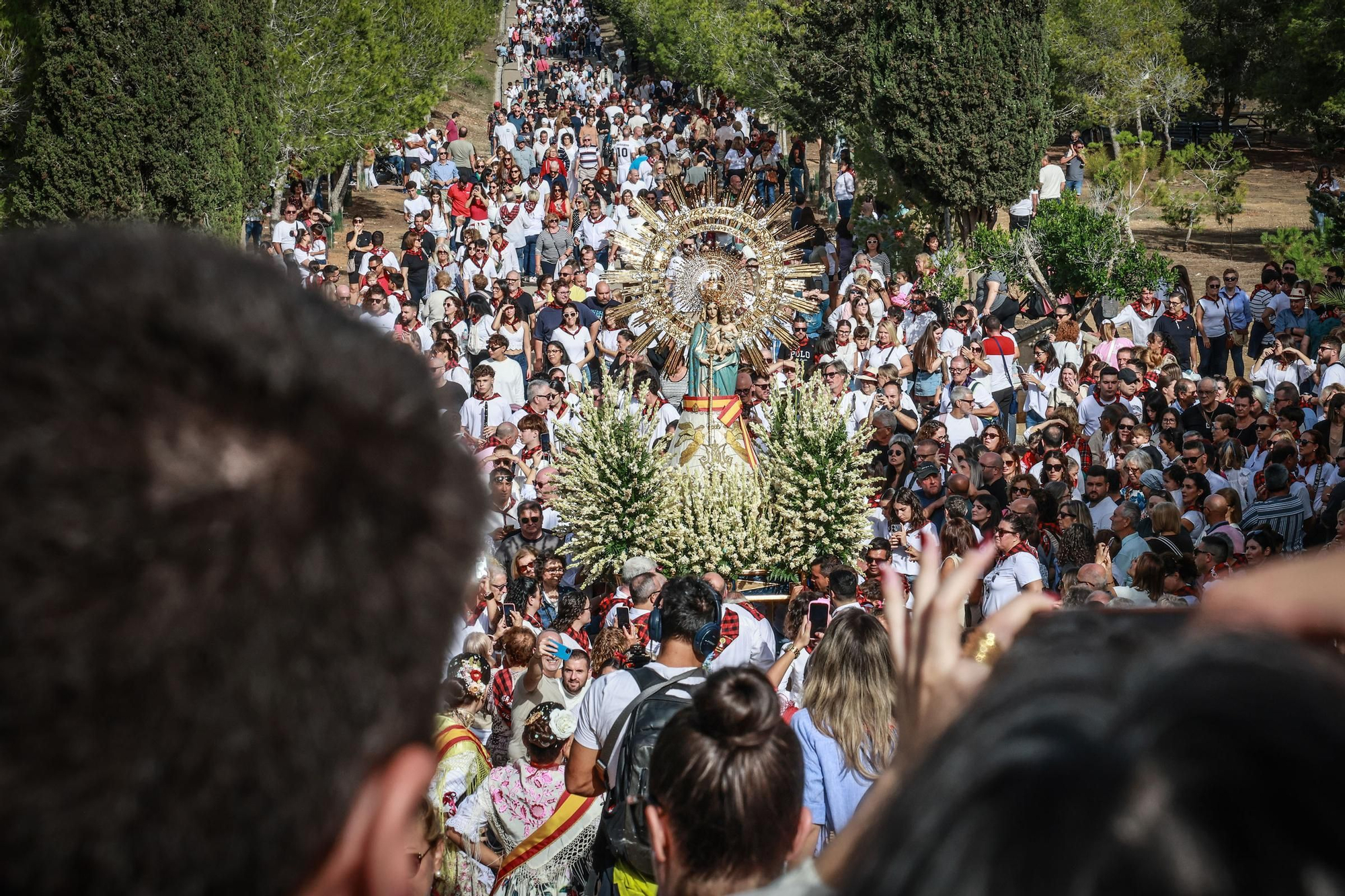 Así ha sido la romería en honor a la Virgen del Pilar en Benejúzar, en imágenes