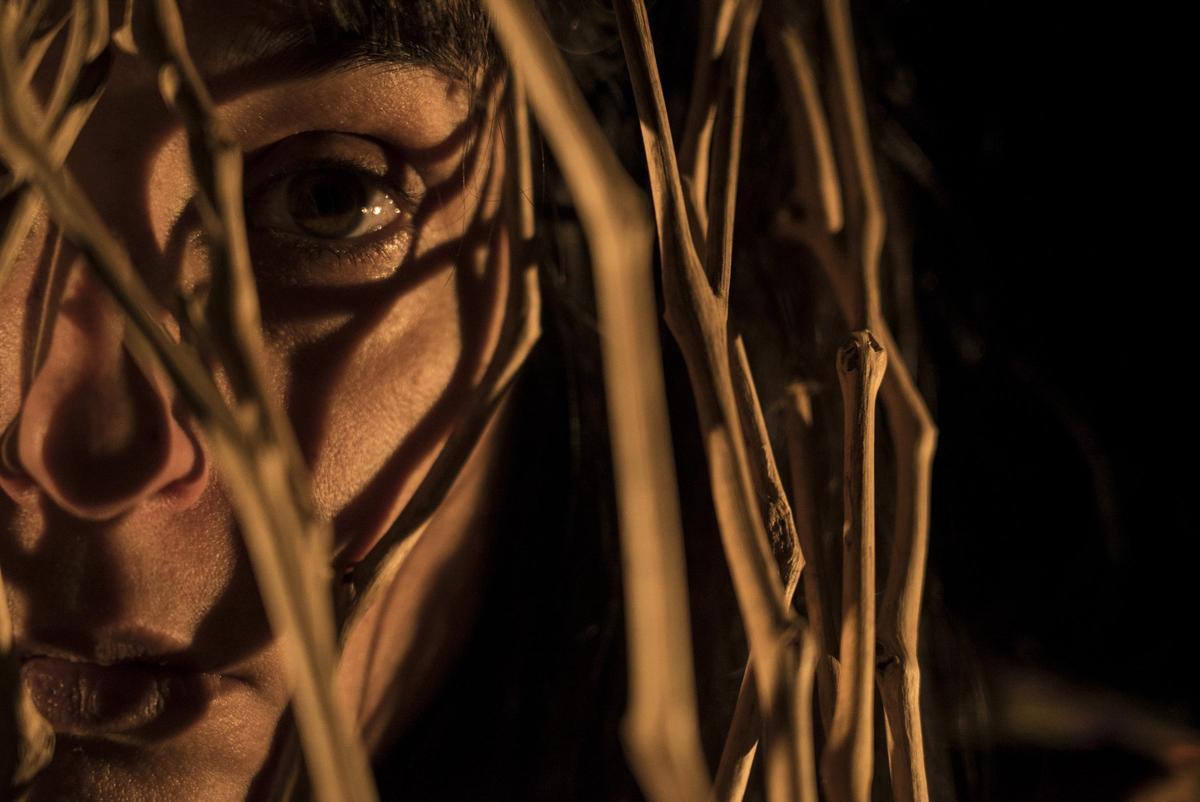 La compañía de danza contemporánea La Siamesa celebra su 20 aniversario.