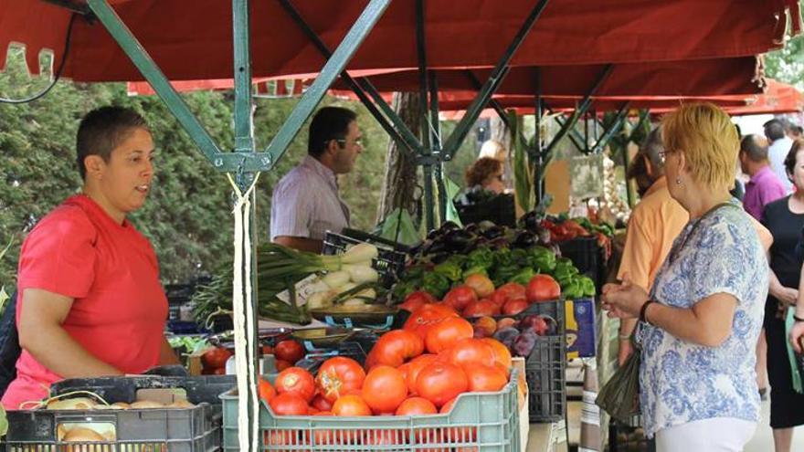 Sabores del Guadajoz