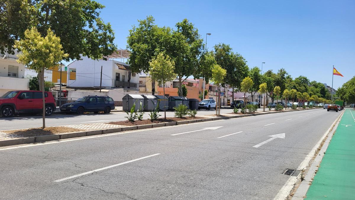 Árboles y arbustos plantados en la mediana de la avenida de San Jerónimo.