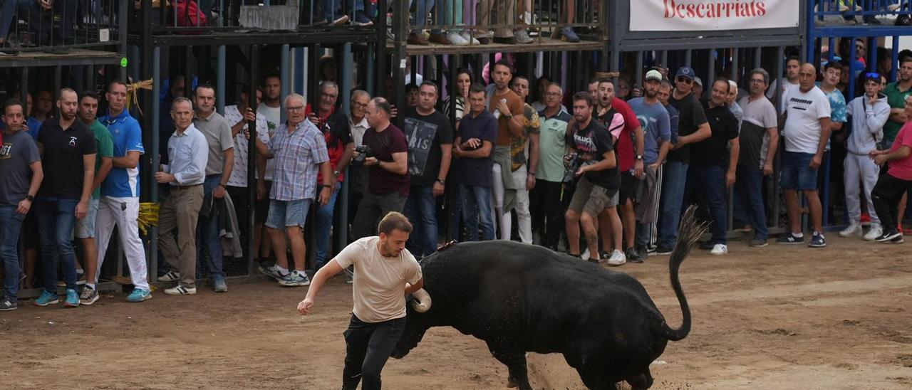 Bous al carrer