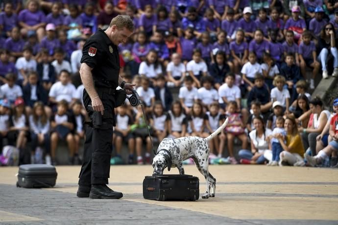 27-09-19 LAS PALMAS DE GRAN CANARIA. . LAS PALMAS DE GRAN CANARIA. Jornada de puertas abiertas de la Policía Nacional en el Parque Juan Pablo II. Fotos: Juan Castro.  | 27/09/2019 | Fotógrafo: Juan Carlos Castro