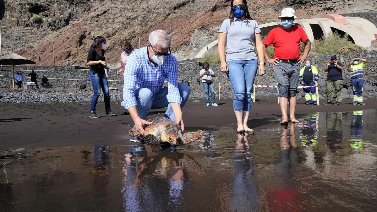 Alpidio Armas, en la liberación de una de las tortugas bobas en la playa de Timijiraque.