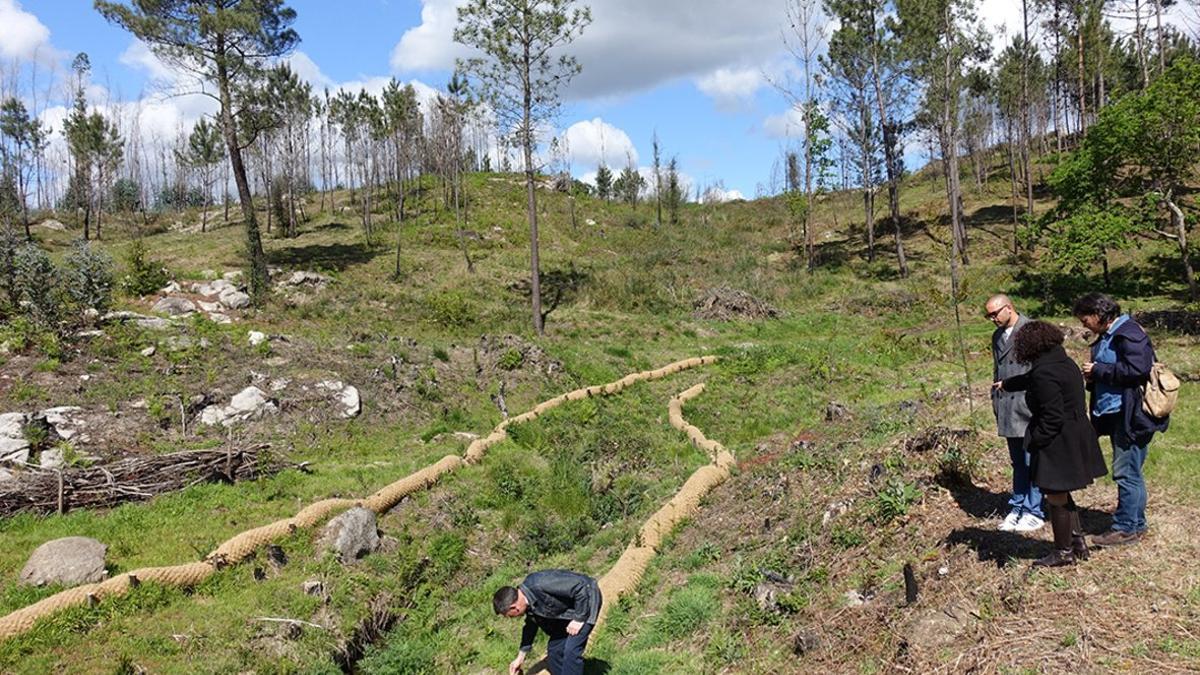 Visita de la delegación de Sant Boi a los bosques de Braga, en Portugal