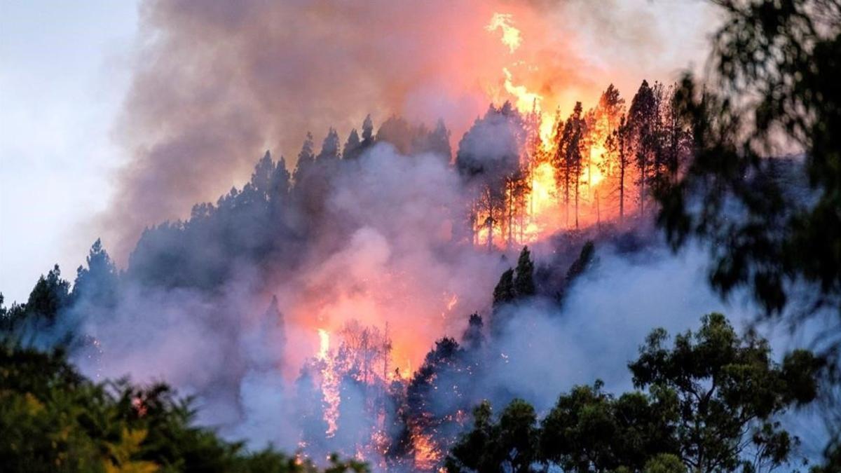 Una imagen del fuego que afecta al municipio de Valleseco, en Gran Canaria.