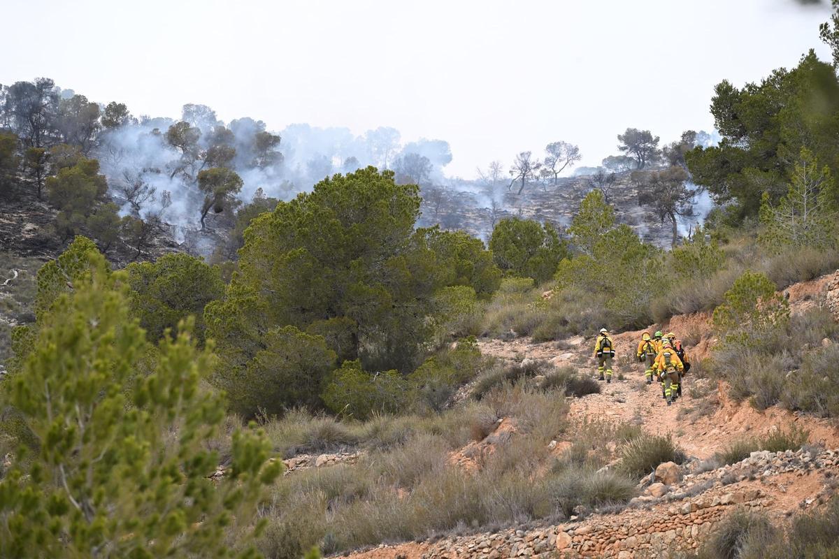 Fuego en Algueña: así está siendo el operativo para la extinción