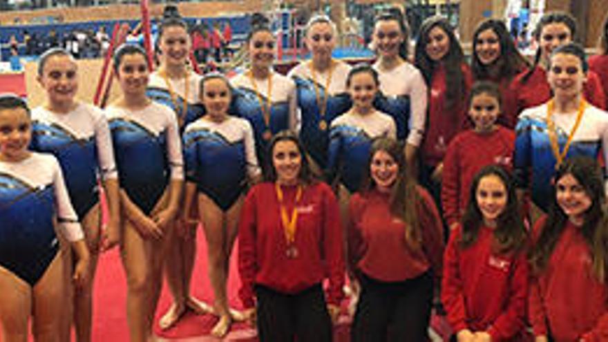Siete medallas baleares de gimnasia artística ponen rumbo a Sant Rafel
