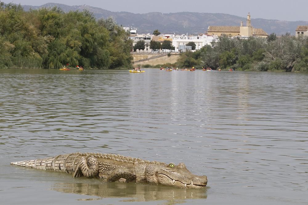 Fotogalería / Ruta del Caimán por el río Guadalquivir.