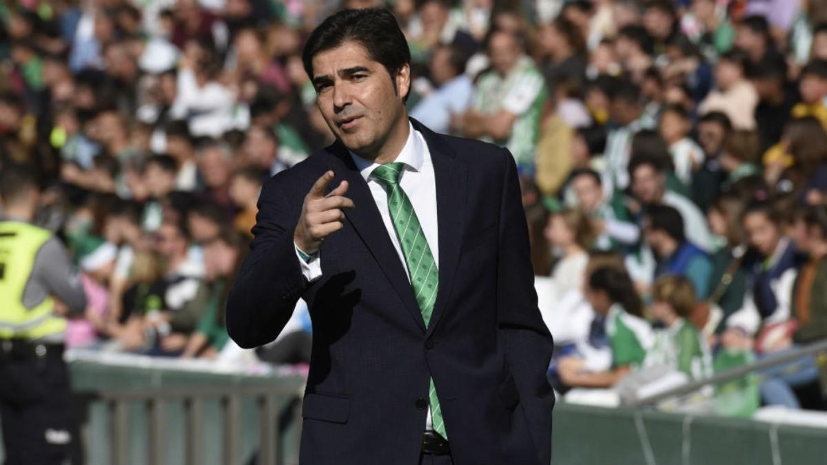 Ángel Haro, presidente del Betis