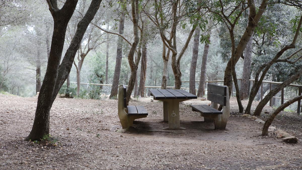 Picknickplatz Son Trias