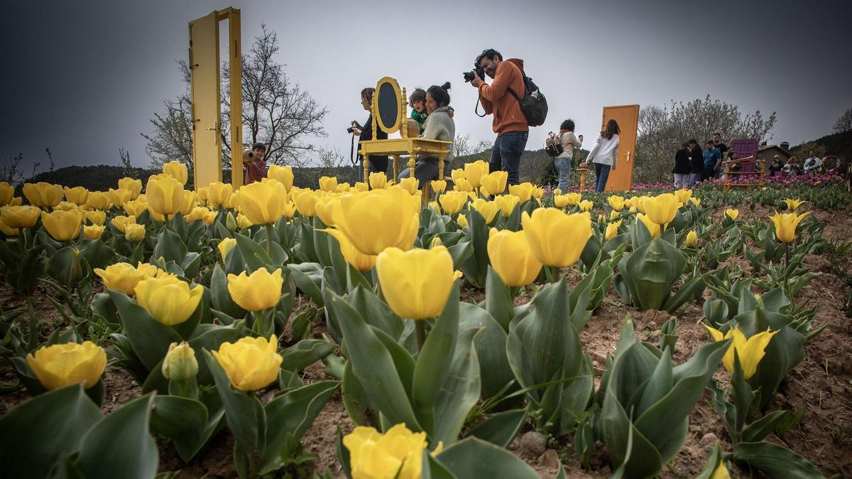 El jardín viral de Barcelona con más de 250.000 flores