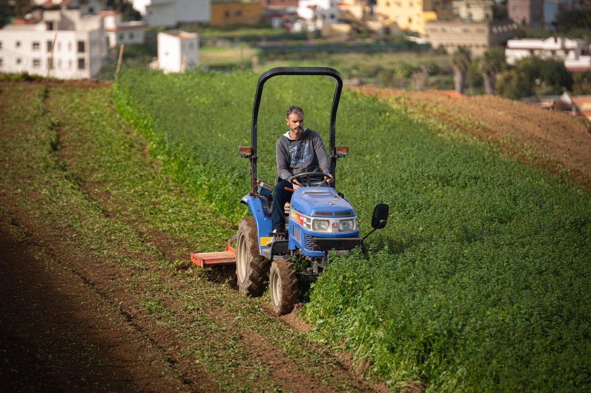 Manuel Reyes, presidente de la Cooperativa Las Medianías de San Juan de la Rambla