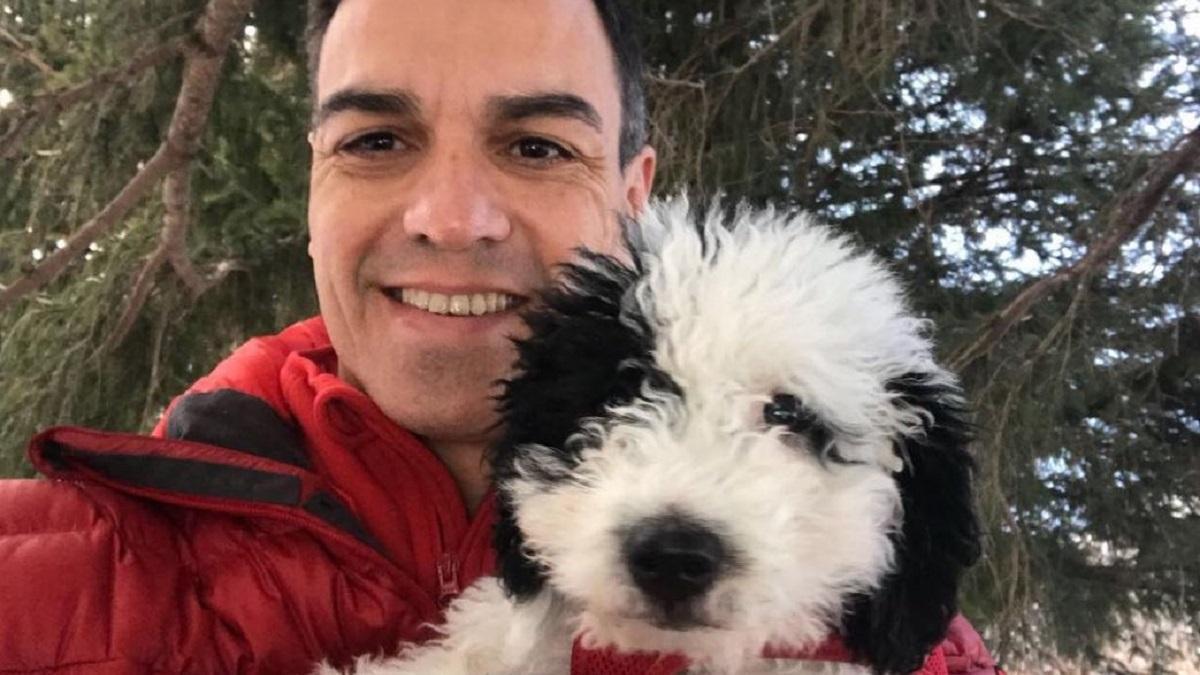 El perro de Pedro Sánchez es en realidad una perra: Turca.