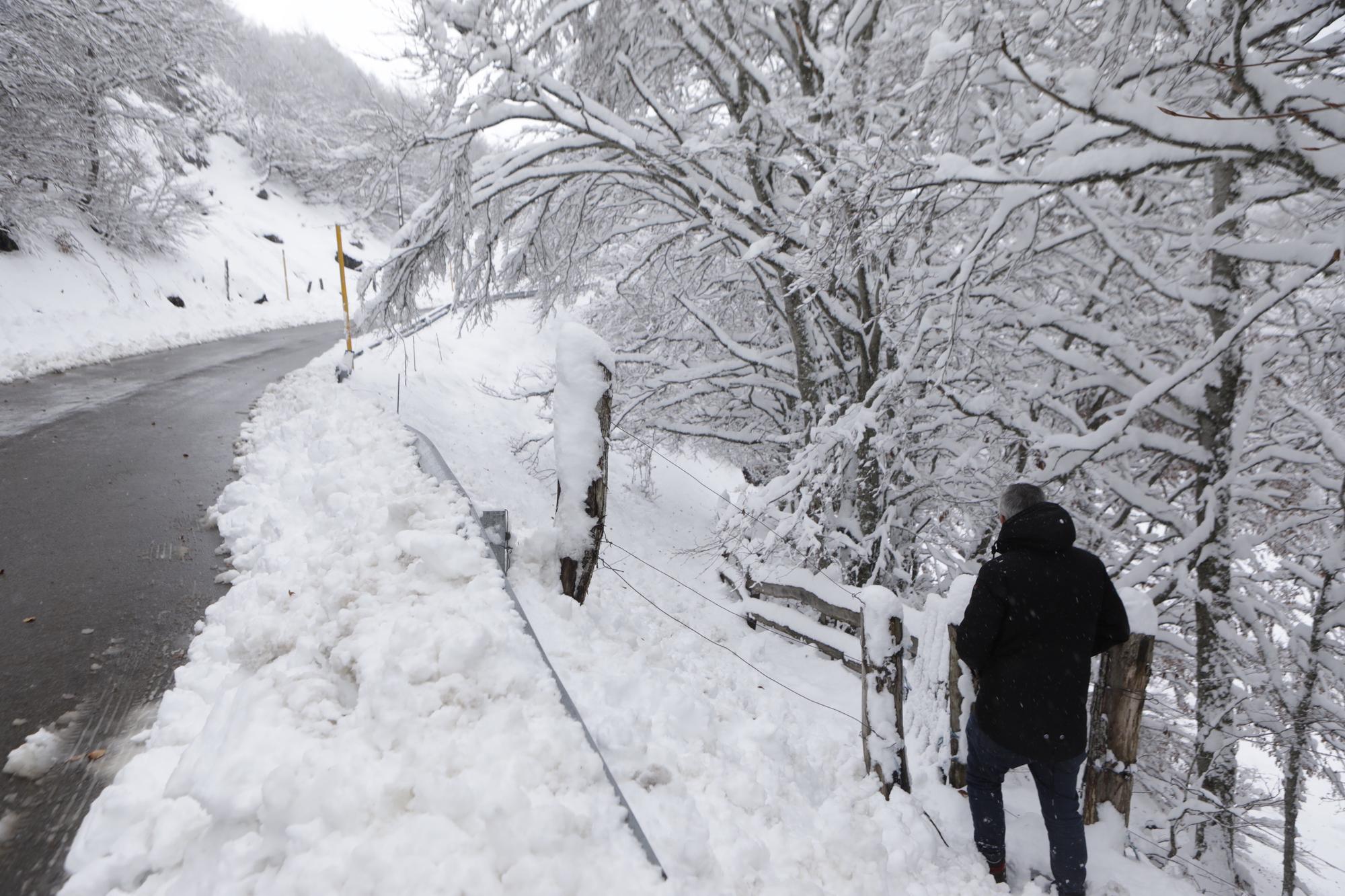 Temporal en Asturias: Así luce el pueblo de Tarna bajo un gran manto blanco