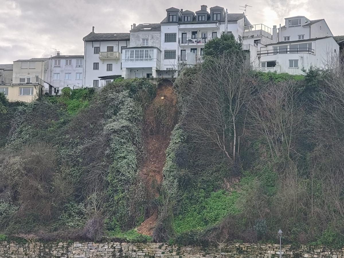 WhatsApp Image 2026-02-08 at 16.45.46