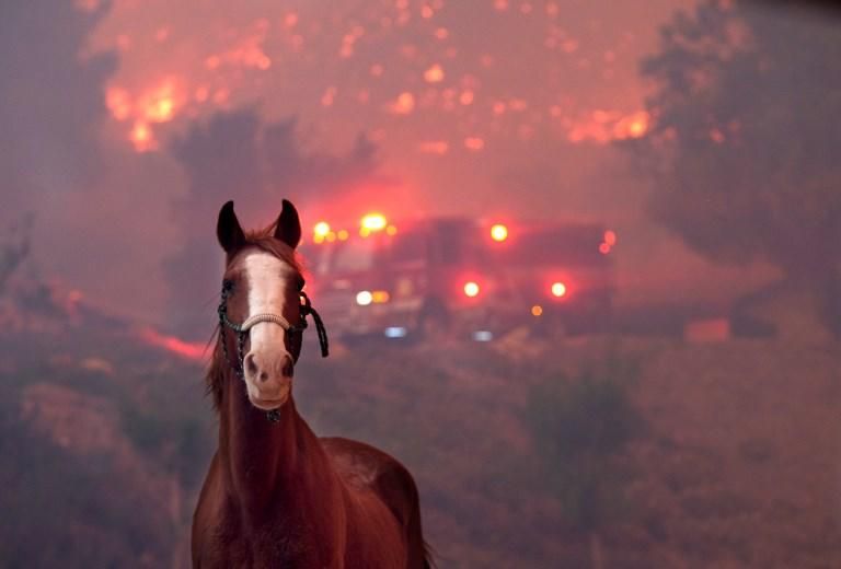 El devastador incendio de California, en imágenes