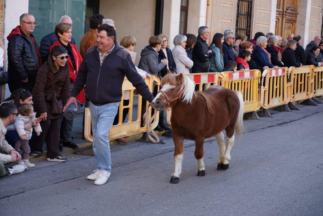 Meliana celebra Sant Antoni