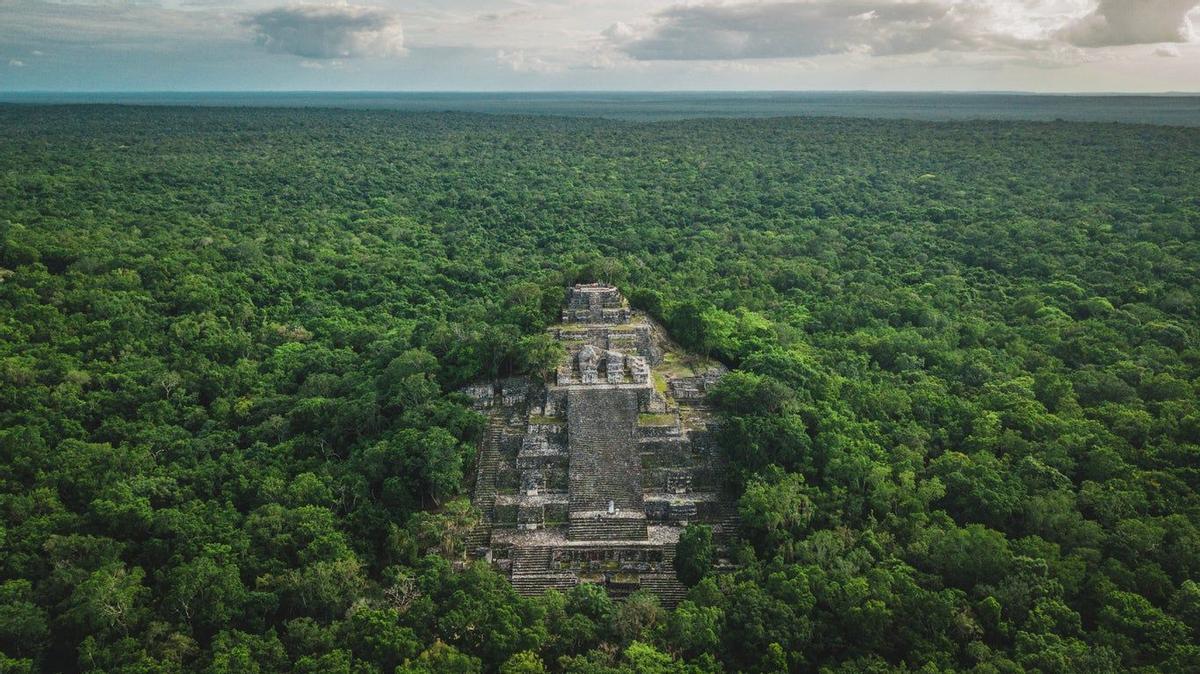 Calakmul, México