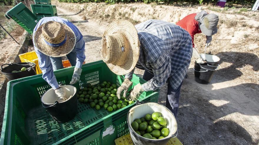 Las exportaciones de la provincia siguen al alza pese al estancamiento del sector agrícola