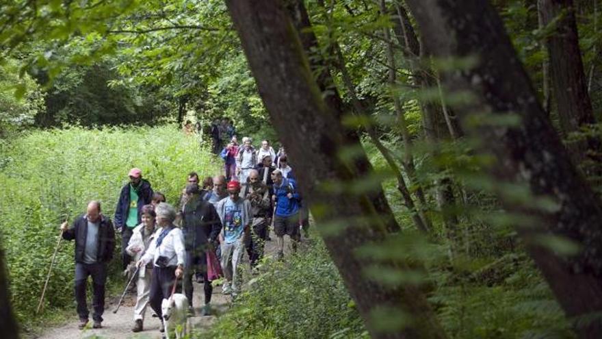 La cabecera de la marcha verde, ayer, durante el recorrido por el paseo fluvial del Nora.