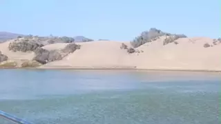 Una turista invade las dunas de Maspalomas y pasea junto a la orilla de la Charca