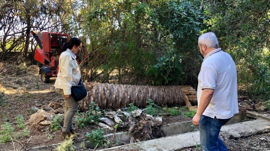 Visita de la edila al jardín.