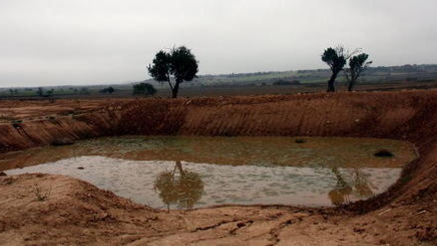 Terrenys on es farà una planta de compostatge a Ossó de Sió.