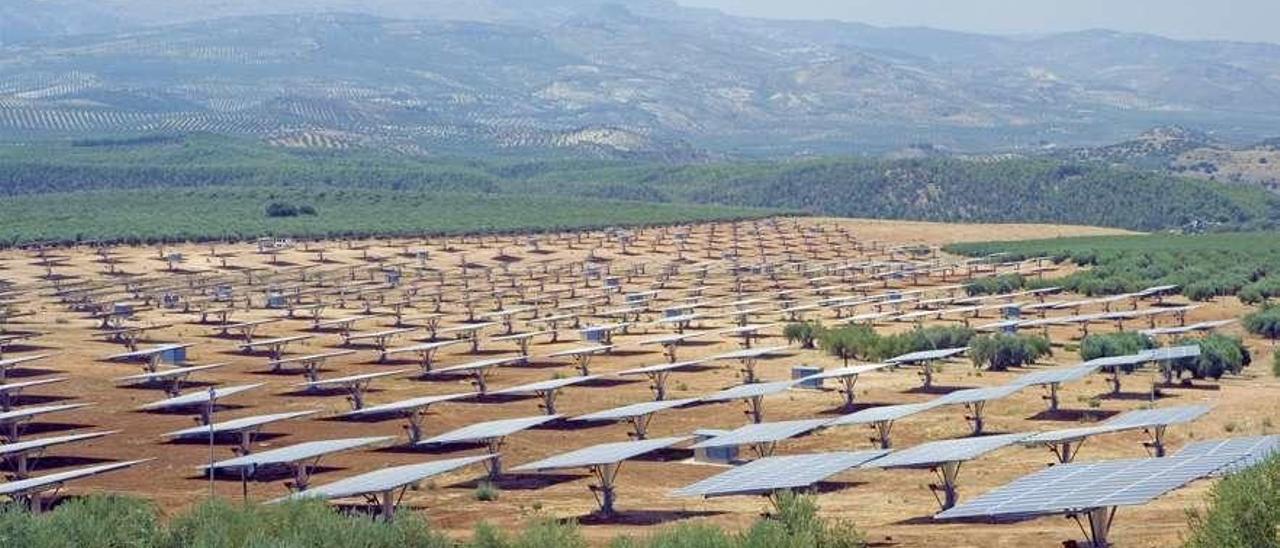 Parque fotovoltaico construido por San José en Teruel. // Grupo San José