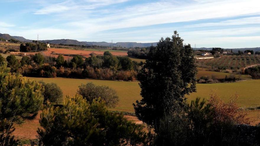 Terrenys de can Morera, a Òdena