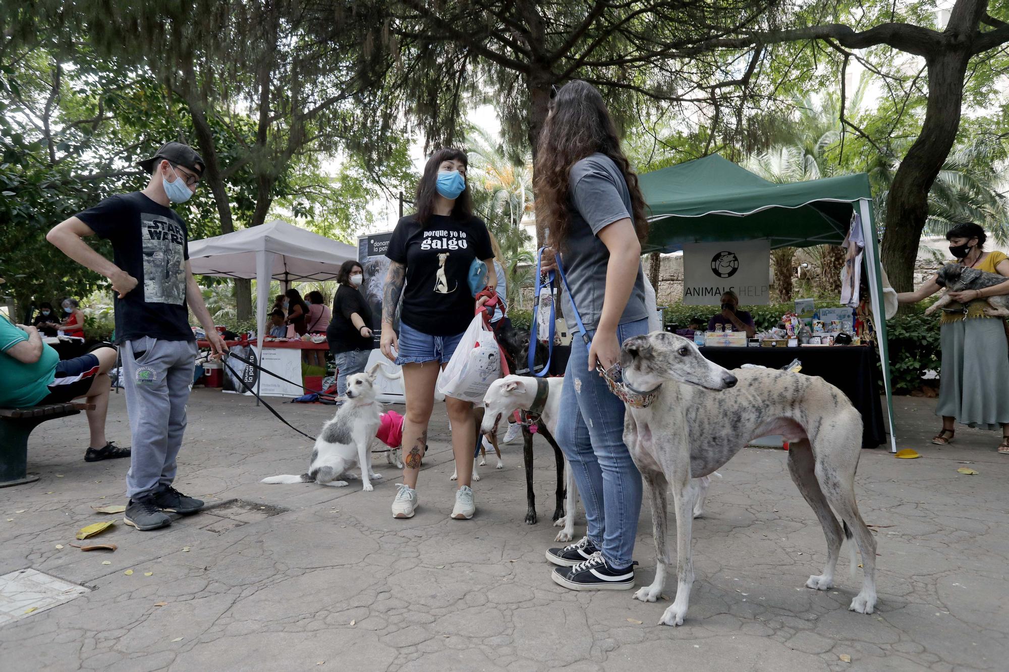 ¡Qué animalada!