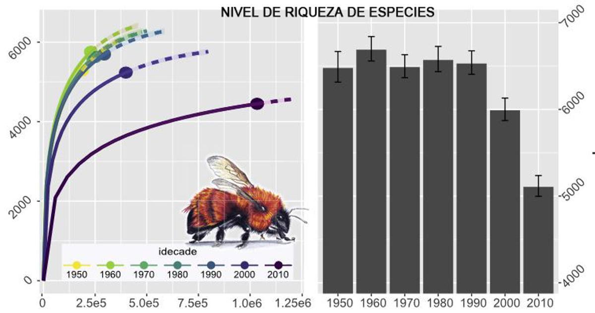 ¿Ha desaparecido ya el 25% de las especies de abejas?