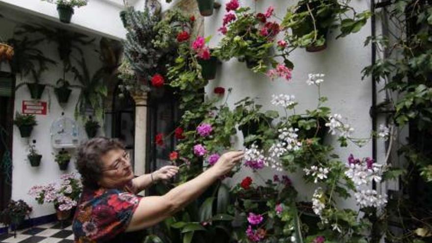 El Ayuntamiento de Córdoba deberá decidir antes del 23 de abril si los Patios son en mayo o en octubre