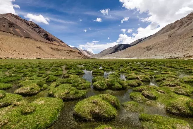 Sitios que no parecen reales: Puga Valley, una maravilla de India