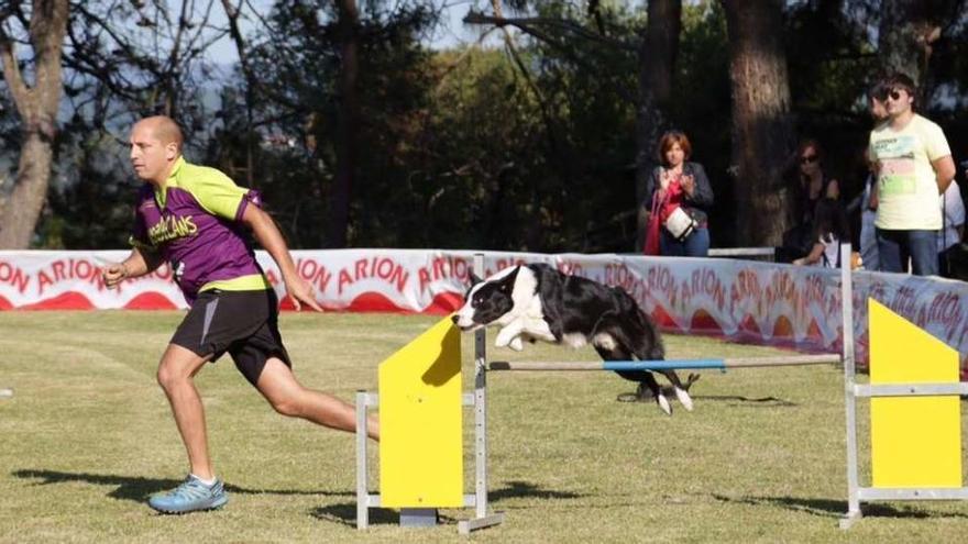 Un momento de la prueba de &quot;agility&quot; disputada ayer por la tarde en A Toxa. // Muñiz