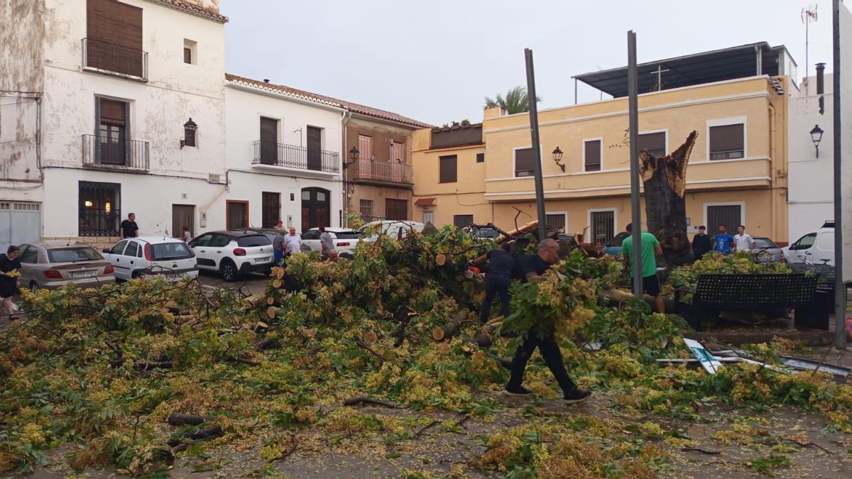 Momentos después de la caída