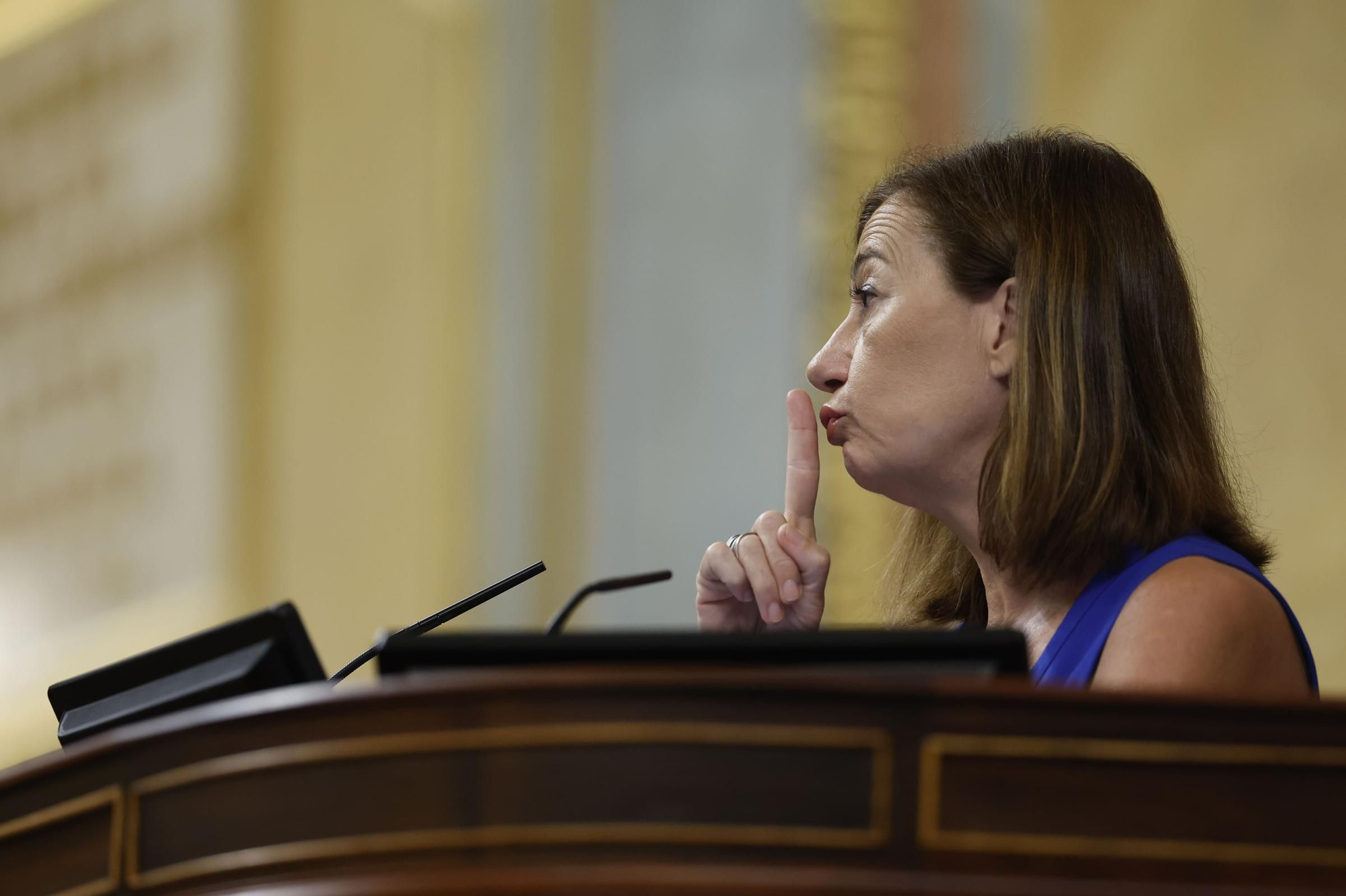 Francina Armengol preside la sesión del Congreso en la que ha comparecido Pedro Sánchez